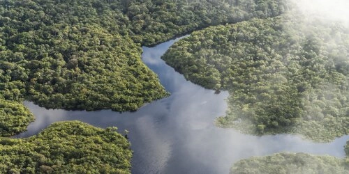 Luigi Canis großes Aufforstungsprojekt zur Rettung des Amazonas