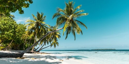 Versinkende Paradiese: Wenn ganze Inselstaaten untergehen