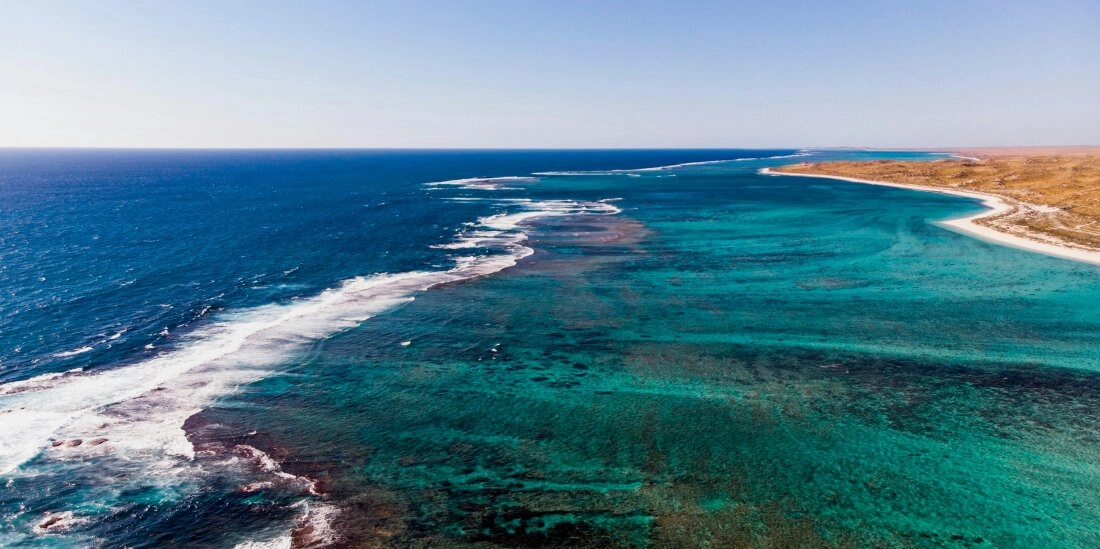 Korallenbleiche in Westaustralien: Die Riffe verlieren ihre Farben
